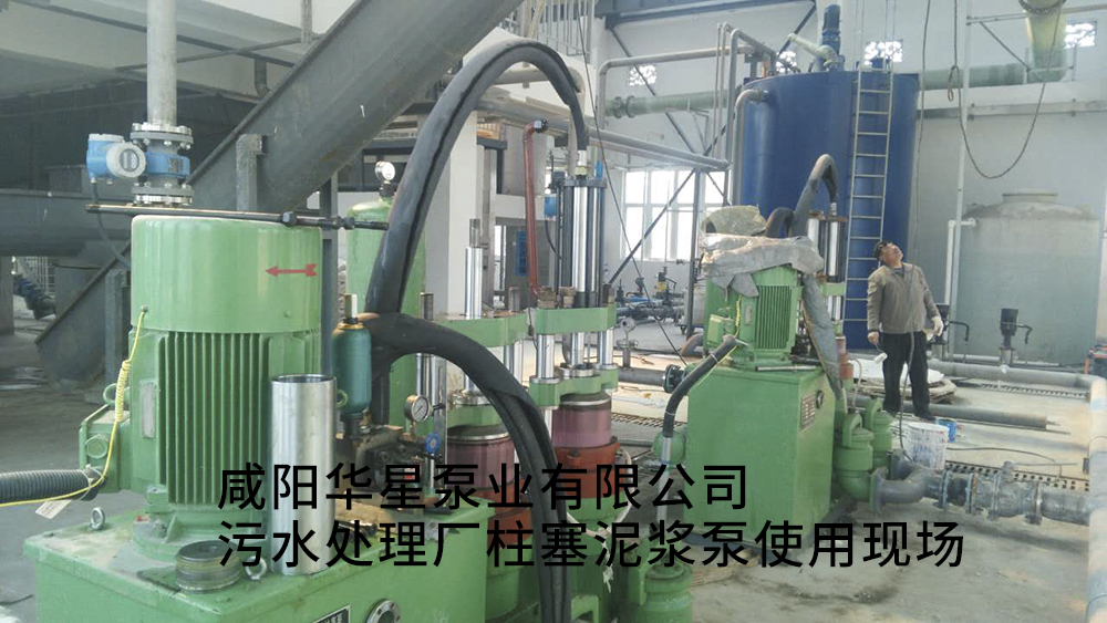 污水處理廠柱塞泥漿泵使用現(xiàn)場
